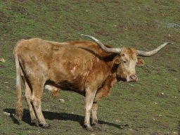 California2007-2008-011